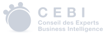 cebi icon