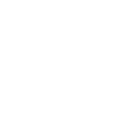 anti ddos logo